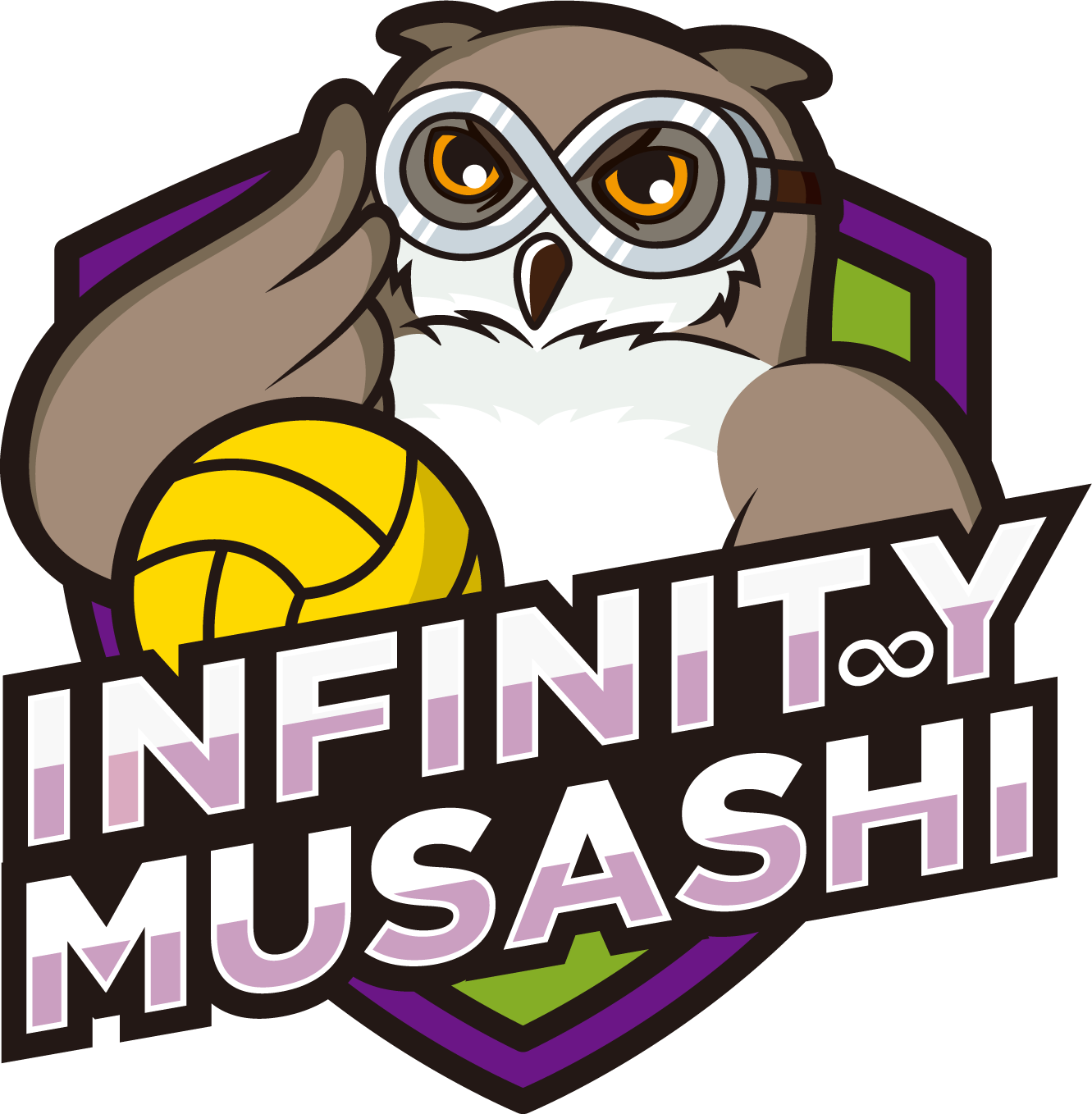 Infinity Musashi